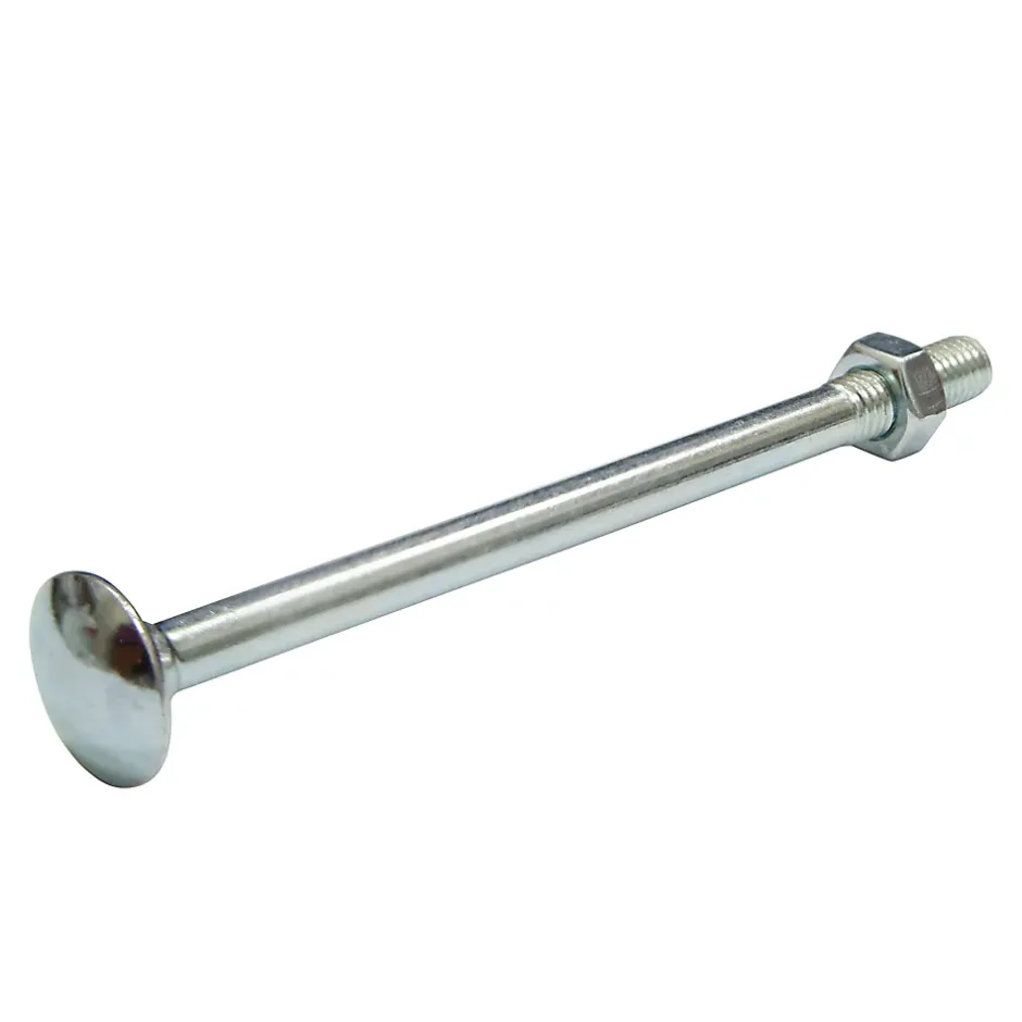 10 boulons tête ronde collet carré 6 x 60 mm^Diall Best