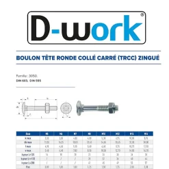 200 Boulons Tête Ronde Collet Carré TRCC 5 x 70 mm - DIN 603 - Zingué blanc --D-Work Sale