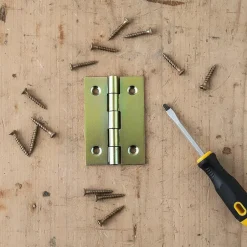 2 charnières acier laitonné Diall 40 x 25 mm^QCL Sale