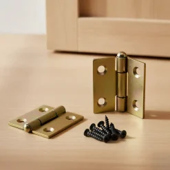 2 charnières démontables acier bichromaté Diall 40 x 40 mm-QCL