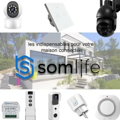 2 Commutateurs de volet et rideau Wifi Rf Tuya Smart Life Module pour volet roulant 433 mhz et Télécommande^Somlife Online