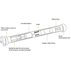 2 Condensateurs, 6 uF, à Connecteurs, pour Moteur Volet Roulant Bubendorff^Ducati Hot