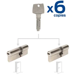 2 cylindres débrayables 30+40 mm avec 6 clés-Bricard New