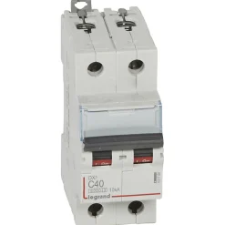 407788 Disjoncteur Bipolaire 40a - 2p Courbe C - 6/10ka - à Vis - Dx3-Legrand Clearance
