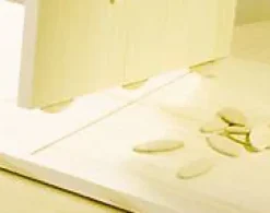 50 lamelles d'assemblage n°20-Wolfcraft Online