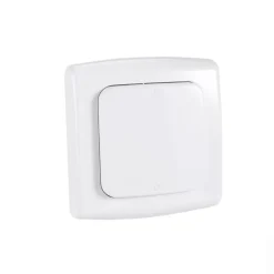 2 Prises intérieures 3680W connectées Wifi + 2 Interrupteurs + Télécommande^Kyf