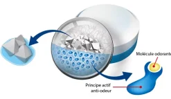 5 recharges neutre pour absorbeur d'humidité Aéro 360° 20m² + 1 recharge lavande-Rubson Discount