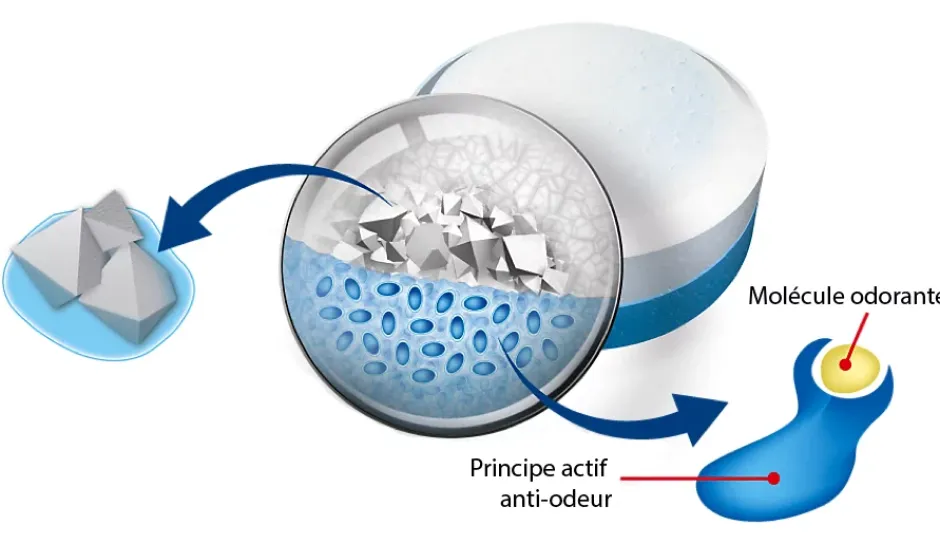 5 recharges neutre pour absorbeur d'humidité Aéro 360° 20m² + 1 recharge lavande-Rubson Discount