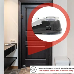 Alarme porte flash 125 dB-Fishtec New