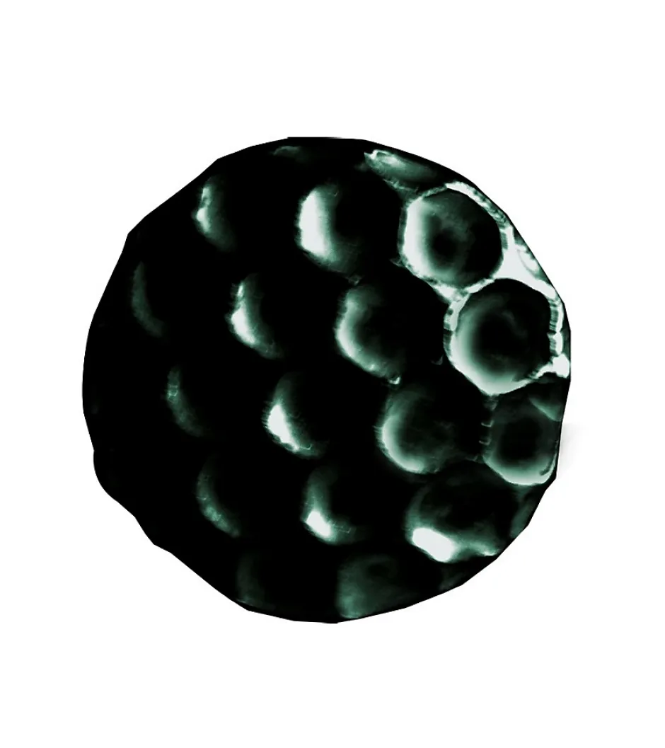 ALVEOLE - Clous Tapissier Décoratifs - Lot de 100^Secodir Online