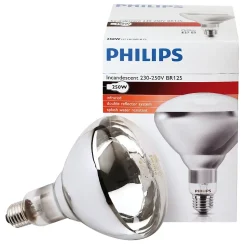 Ampoule IR à vis blanche 250W^Philips Hot