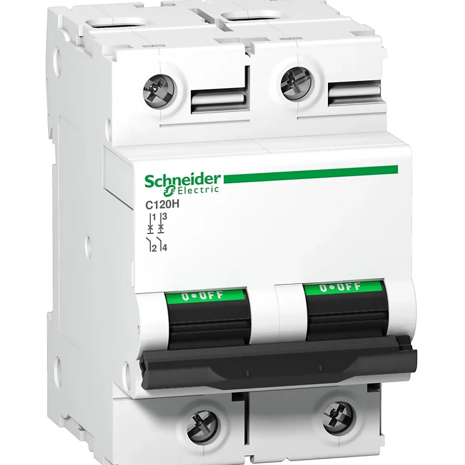 A9n18459 Schneider C120h Disjoncteur Bipolaire Schneider 125 A - 2p - Courbe C - 15ka - à Vis^Schneider Electric