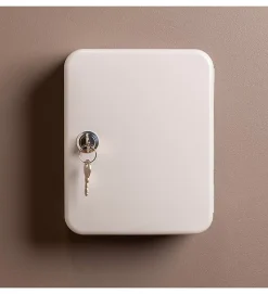 Armoire à clés à serrure fixation murale rangement 20 crochets^Autres Outlet