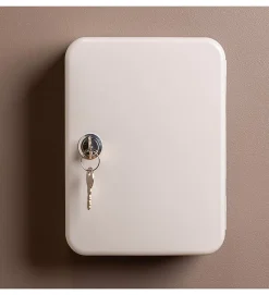 Armoire à clés murale Boite à clés à serrure rangement 80 crochets^Autres New