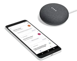 Assistant vocal mini anthracite^Google New