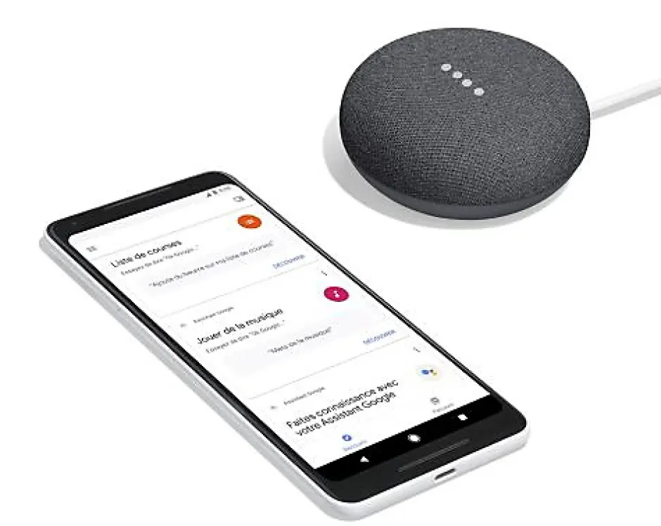 Assistant vocal mini anthracite^Google New