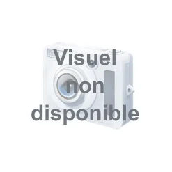 BALUN Actif RJ45 Male / Prise F Male - 2m - 5481-Erard Online