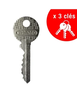 Batteuse BAL, compatible avec la distribution postale, épaisseur maxi 1,2mm, 2 cames, 2 clés --Thirard Outlet