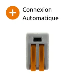 Borne rapide automatique à cliquet S222 - 2 entrées -^Wago Sale