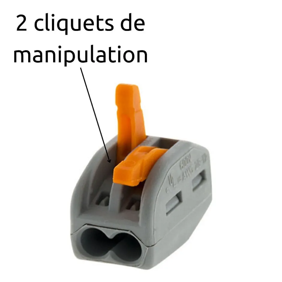 Borne rapide automatique à cliquet S222 - 2 entrées -^Wago Sale