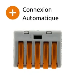 Borne rapide automatique à cliquet S222 - 5 entrées -^Wago Online