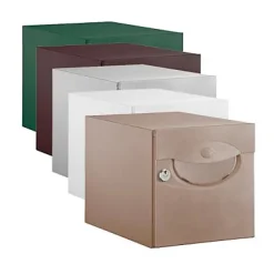 Boîte aux lettres 1 porte Decayeux Iguane Latté Ral 1019-DAD Best