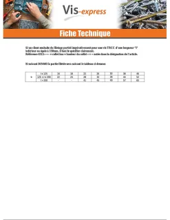 Boulon (vendu avec Ecrou) TRCC JAPY tête ronde collet carré M10X200 Filetage partiel Acier zingué - 5 pièces^Vis Express