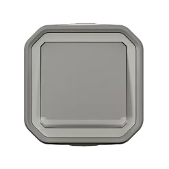 Bouton poussoir lumineux Plexo gris en saillie^Legrand Outlet