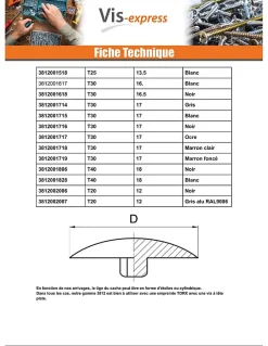 Cache vis Tête fraisée TORX TORX T15 Diamètre de tête: 12 nylon noir - 100 pièces-Vis Express Hot
