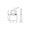 Cadenas à clé Type 1, laiton, extérieur, anse inox, 30mm, 2 clés -^Thirard Best
