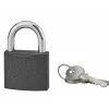 Cadenas ACERA gris à clé, base 50 mm, anse acier cémenté, 3 clés --Serruprix Online