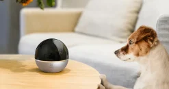 Caméra de surveillance intérieure rotative C6W^Ezviz Hot