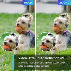 Caméra de vidéosurveillance extérieure connectée Tapo C320WS 2K HD-TP-Link