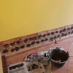 Capirsec Imperméabilisant Capillaire 10 litres + 5 canules - Liquide injectable qui empêche la remontée d'humidité dans les murs^Idroless Best