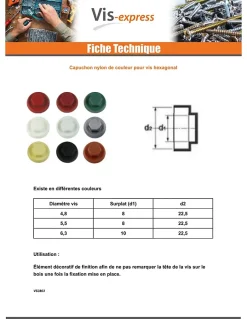 Capuchon plastique Vis Diamètre 4.8-5.5 Surplat 8 RAL1001 beige - 100 pièces-Vis Express Sale