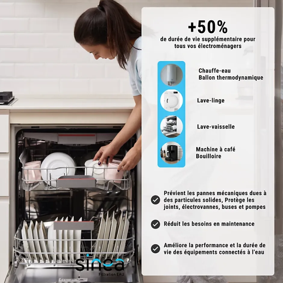 Cartouche anti calcaire polyphosphate 9'' 3/4^Sinea Discount
