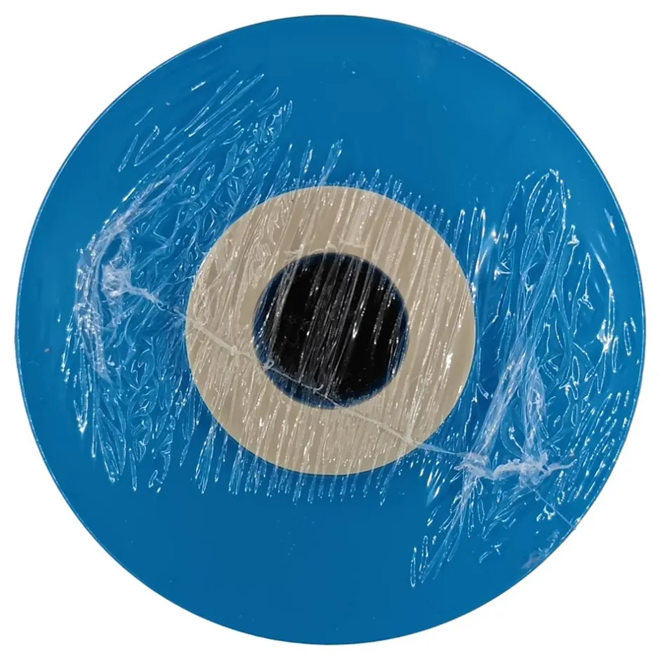 Cartouche Charbon Actif Chlorplus 20bb - 1microns^Pentair Sale