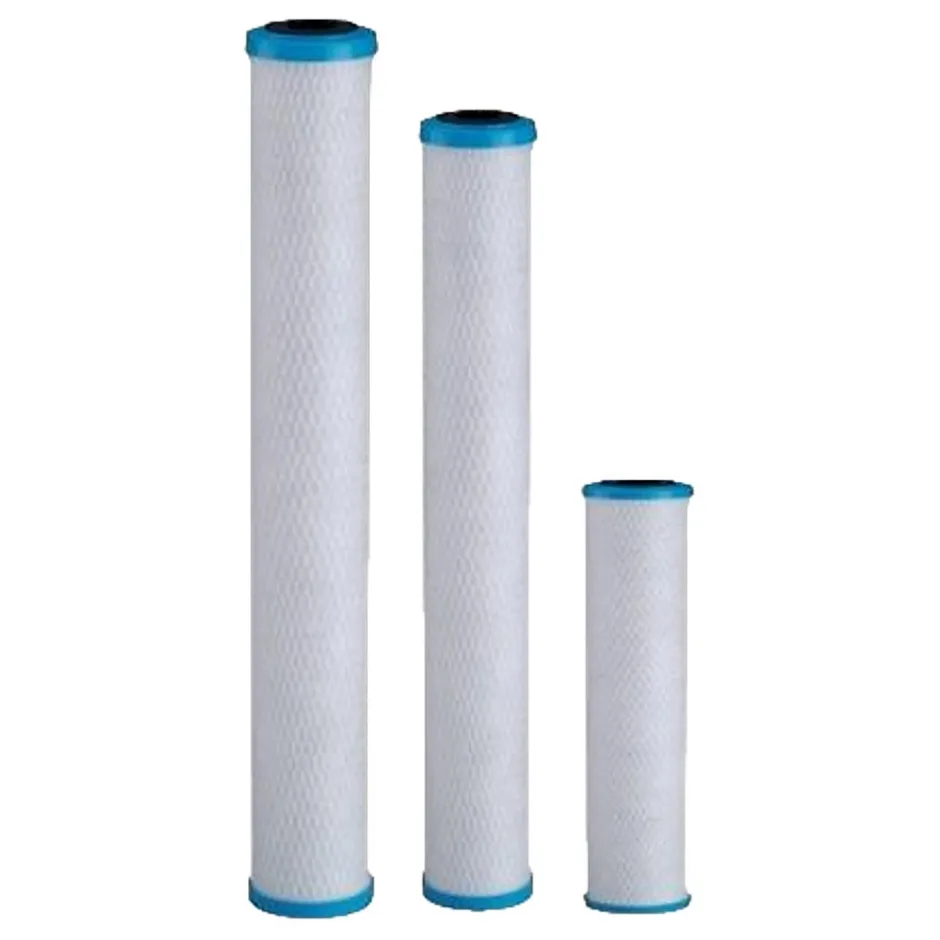 Cartouche Charbon Actif Chlorplus 20bb - 1microns^Pentair Sale