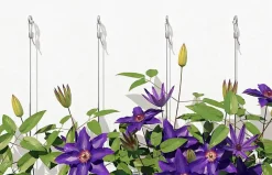 Cheville béton cellulaire GB 8 Fischer - boîte de 25 - 50 mm-O91 Clearance