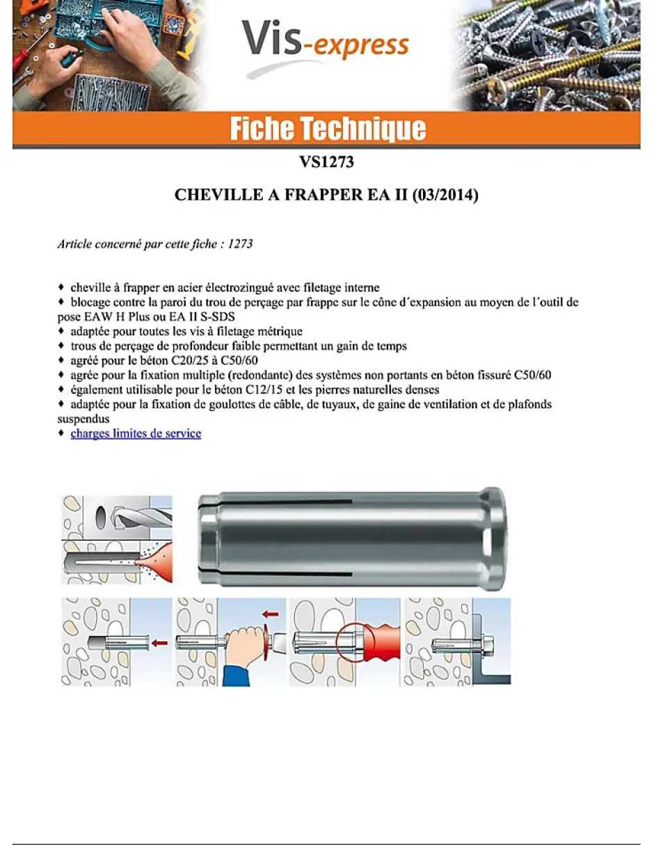 Chevilles à frapper EA II - Acier, électro zingué-48406 (boite de 25 pieces)^O91 Online
