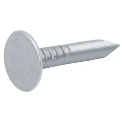 Clous à tête plate en acier galvanisé 3x20 - 1kg^Diall Clearance