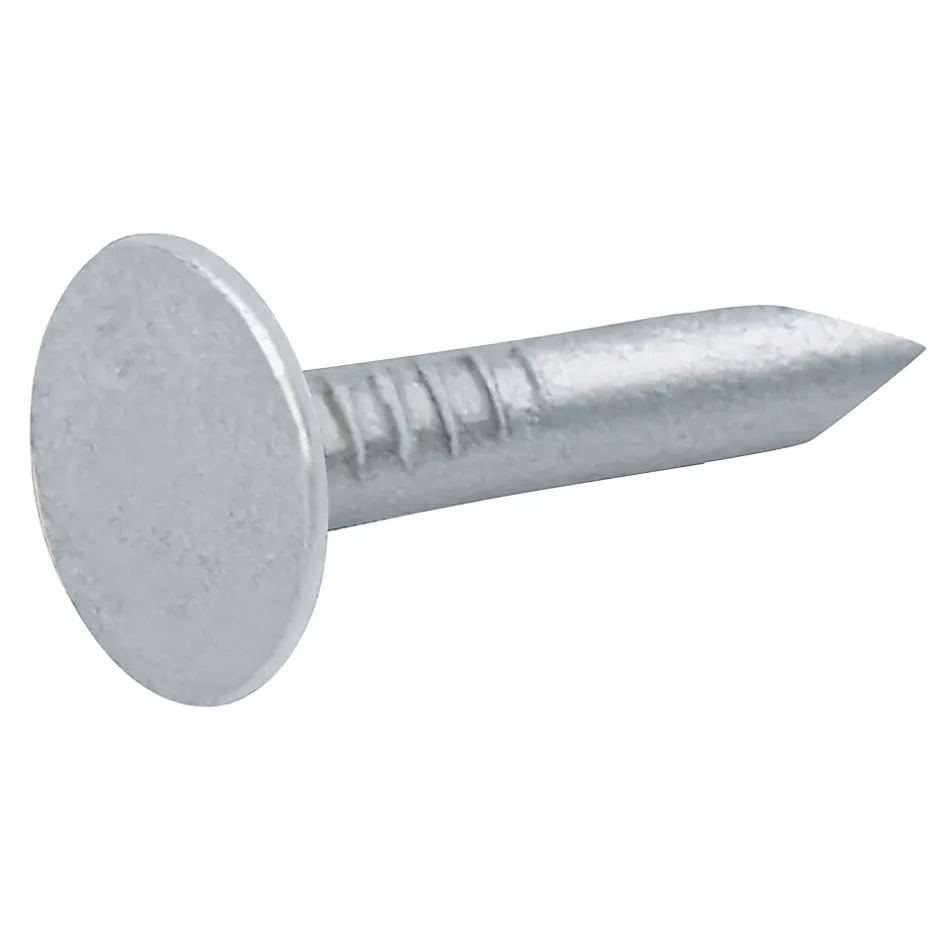 Clous à tête plate en acier galvanisé 3x20 - 1kg^Diall Clearance