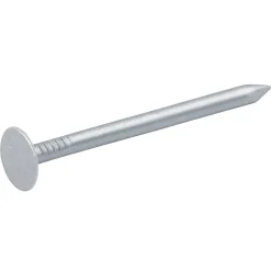 Clous à tête plate en acier galvanisé 3x50 - 1kg-Diall