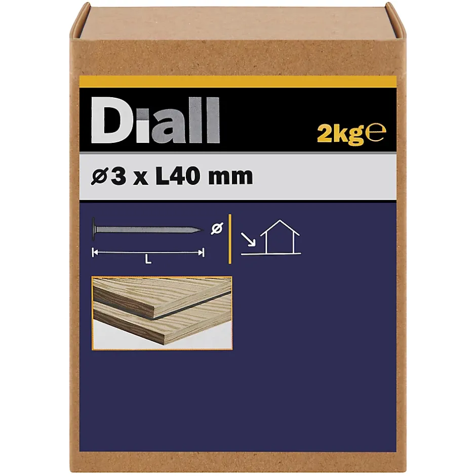 Clous à tête plate en acier galvanisé 3x40 - 2kg^Diall Discount