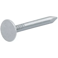 Clous à tête plate en acier galvanisé 3x30 - 1kg^Diall New