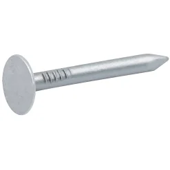 Clous à tête plate en acier galvanisé 3x30 - 2kg^Diall