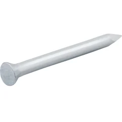 Clous de maçon en acier galvanisé 5x25 - 1kg^Diall Outlet