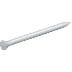 Clous de maçon en acier galvanisé 3,4x50 - 1kg^Diall Hot