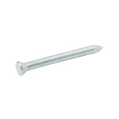 Clous de maçon en acier galvanisé 3,4x40 - 125g^Diall Hot