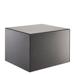 Coffre-fort Combi-line CL 420 E-Burg-Wachter New